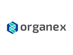 organex.png